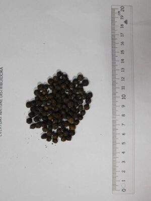 Pimienta Negra En Grano Importada Every Day Aroma y Sabor Intenso - Imagen 2