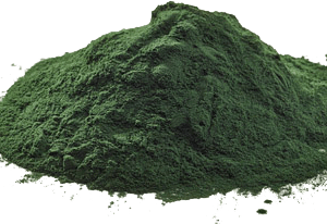 Spirulina Original Algas EDN Nutrition Premium 100 Gr - Imagen 2